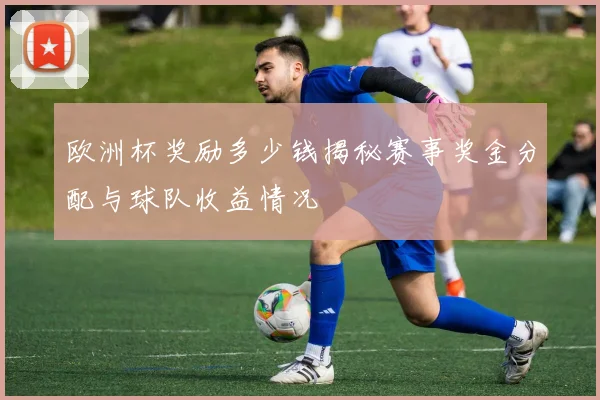 欧洲杯奖励多少钱揭秘赛事奖金分配与球队收益情况