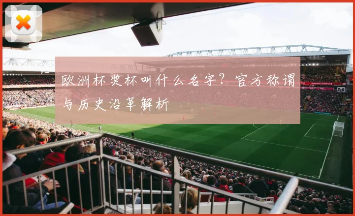 欧洲杯奖杯叫什么名字？官方称谓与历史沿革解析