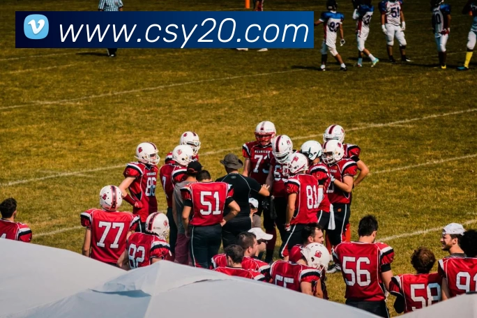 新爱体育平台(中国)官网入口平台生态图